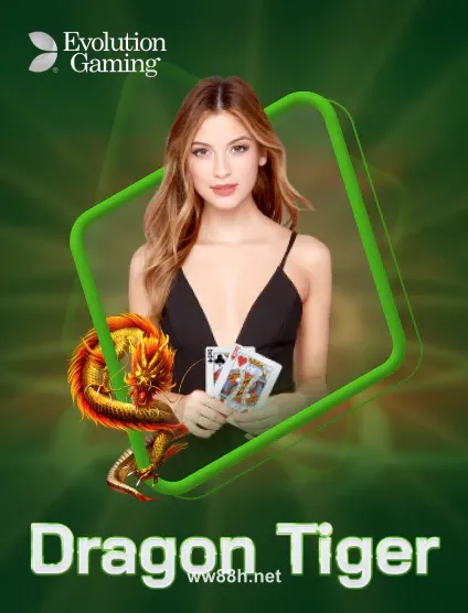 Hình ảnh Evolution Dragon Tiger Portrait tại ww88